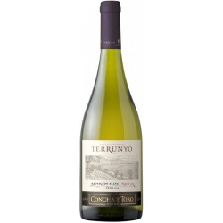Terrunyo Sauvignon Blanc вино белое сухое 0.75