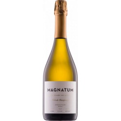 Magnatum Brut Blanc de Blancs 2019 вино белое игристое