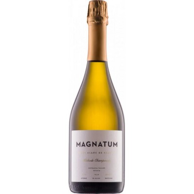 Magnatum Brut Blanc de Blancs 2019 вино белое игристое Magnatum Brut Blanc de Blancs 2019 вино белое игристое