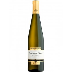 Mastri Vernacoli Sauvignon Blanc Trentino DOC 2021 вино сухое белое 0,75